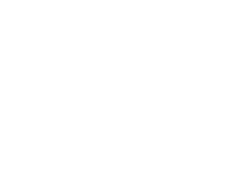 sansin logo white